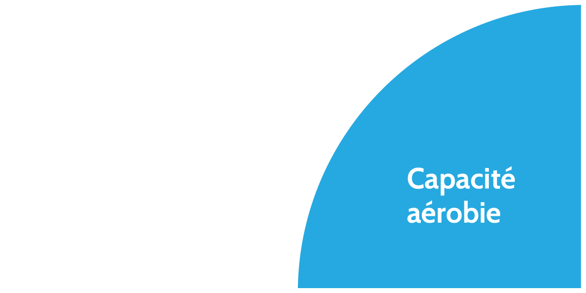 Capacité aérobie
